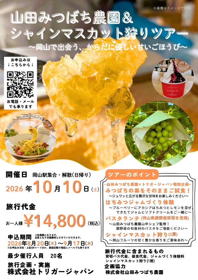【要予約】山田みつばち農園&シャインマスカット狩りツアー